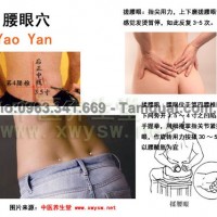 4 huyệt chính giúp giảm đau nhức và không còn đau lưng sau khi lau dọn nhà cửa