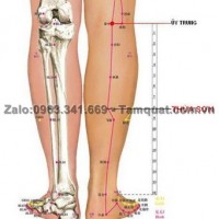 Xoa bóp bấm huyệt điều trị thoái hóa khớp gối